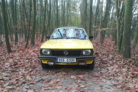 podzim-1.jpg